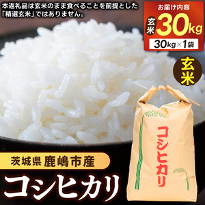 先行予約 令和8年産 米 コシヒカリ 30kg 玄米 鹿嶋市産