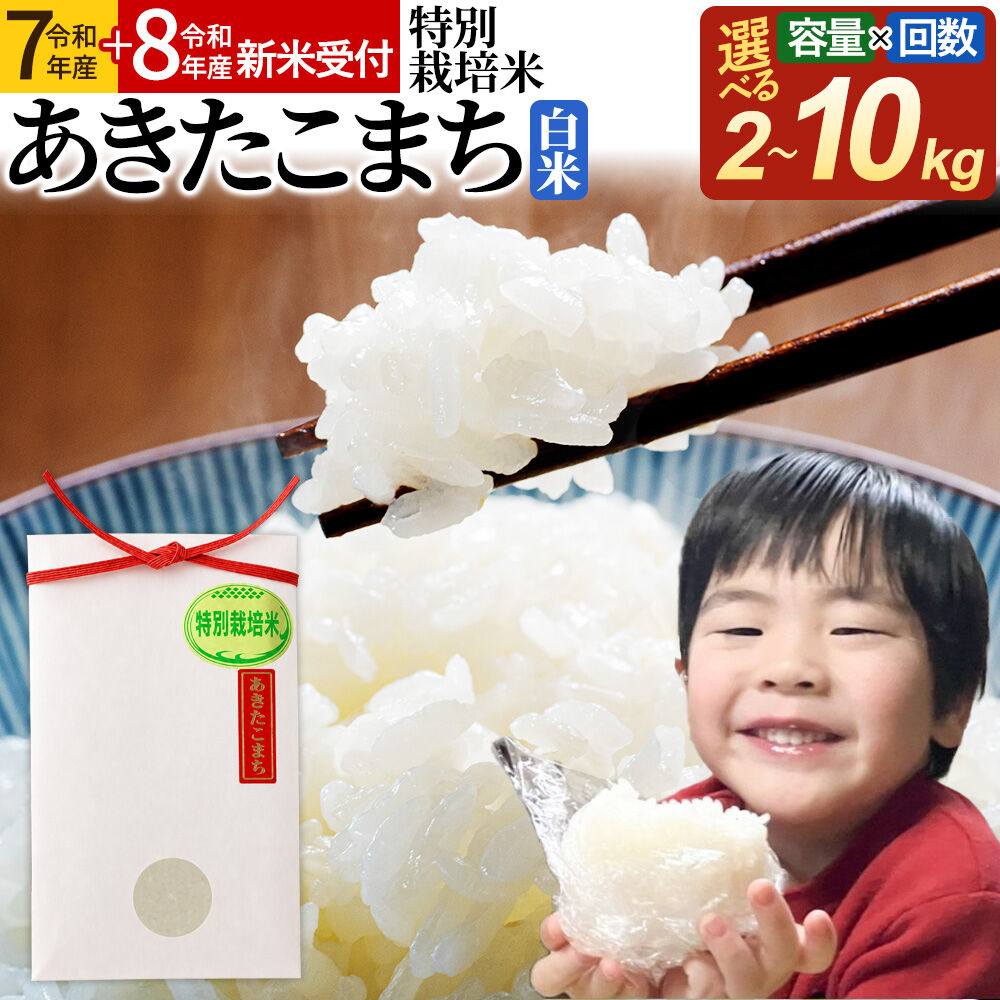 【ふるさと納税】米 特別栽培米 あきたこまち【白米】【選べる R7年産／R8年産 新米予約×2kg〜10kg×お届け回数】 定期便 [米 お米 こめ 白米 精米 特別栽培米 あきたこまち ブランド米 秋田県産]