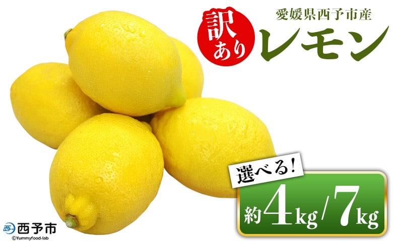 
            ＜愛媛県西予市産 訳あり レモン 約4kg／約7kg＞ 選べる ワケアリ 家庭用 ご自宅用 れもん 檸檬 柑橘 果物 フルーツ 食べて応援 国産 不揃い 愛媛県産 宇都宮物産【常温】『2025年12月中旬～2026年2月末迄に順次出荷予定』
          