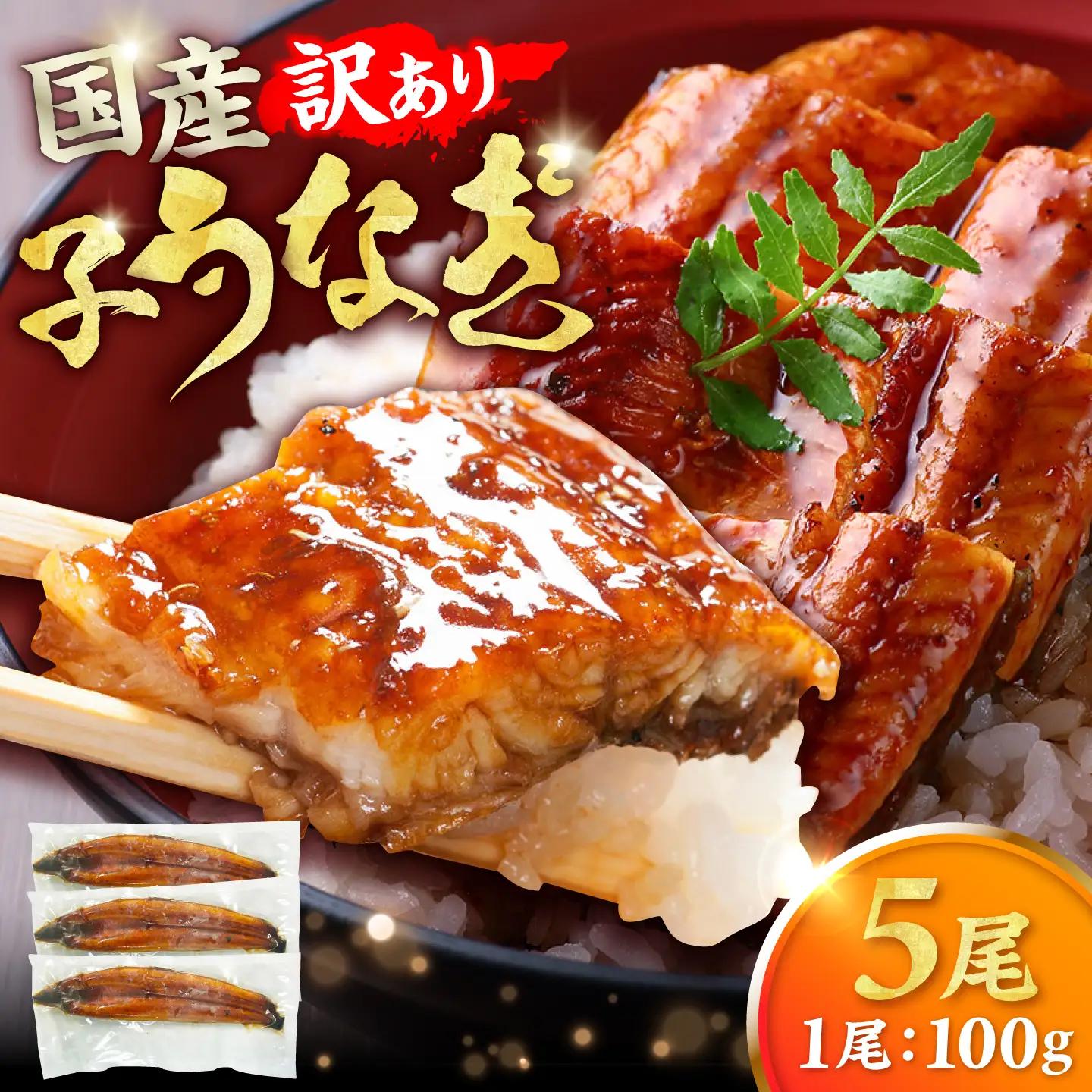 【訳あり】国産鰻（100g×5尾） 広川町 / 株式会社イールファクトリー[AFBS036]