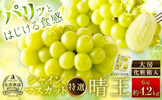 シャインマスカット 晴王 特選 大房 6房 約4.2kg 化粧箱入 マスカット ぶどう ブドウ 葡萄 果物 くだもの フルーツ 果実 果汁 果肉 旬 種なし 皮ごと 大粒 冷蔵 贈答用 贈り物 プレゼント ギフト 国産 岡山県産 【 2026年9月上旬から10月下旬迄発送 】