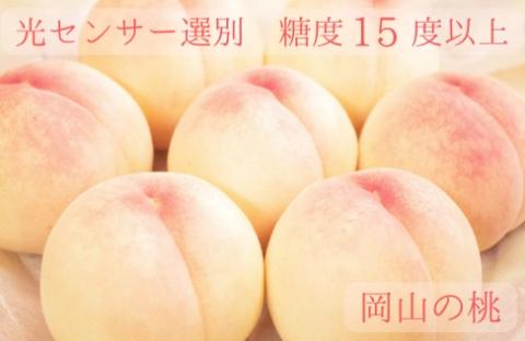 樹熟し 白桃 2kg 糖度15度以上 【極甘】 _S117