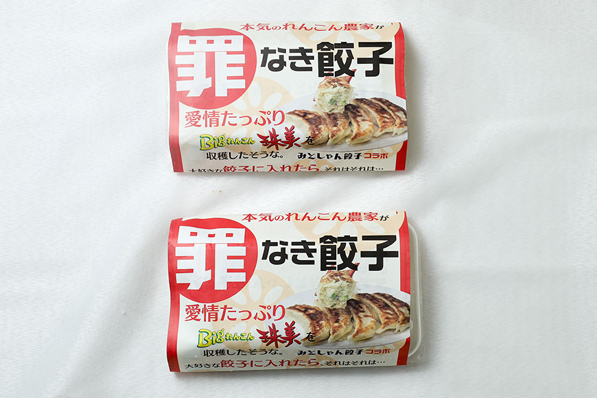 【最高級Bigれんこん珠美使用】冷凍罪なき餃子（20g×15個入）2パックセット 77-E