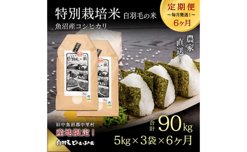 【通年受付】≪令和6年産　≫【定期便／全6回】農家直送！魚沼産コシヒカリ特別栽培「白羽毛の米」精米15kg(5kg×3袋)×6回 計90kg