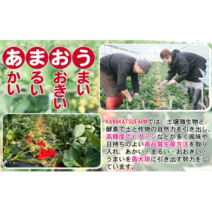 ジャム ドライフルーツ セット あまおうジャム 140g＋あまおうドライ 20g 加工食品 イチゴジャム ストロベリージャム ドライいちご 特別栽培 _イメージ2