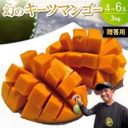 【2026年8月下旬から順次発送・贈答用】みなとばる農園の幻のキーツマンゴー3.0kg(4～6玉)【配送不可地域：離島】【1699969】
