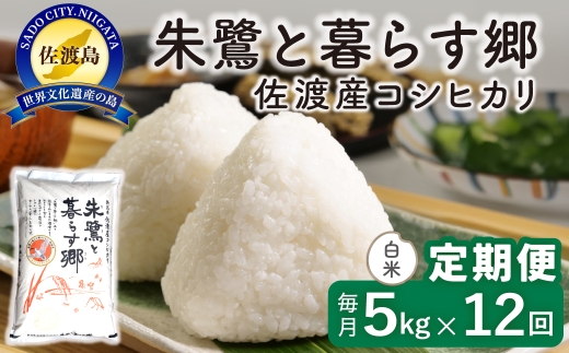 【定期便 令和8年産新米 12か月】 佐渡島産コシヒカリ 白米 5kg 令和8年産新米 特別栽培米 | 新潟県産コシヒカリ 新潟産コシヒカリ 佐渡産コシヒカリ 新潟県産こしひかり 佐渡産こしひかり お米 米 こしひかり 白米 精米 おこめ コメ 5キロ にいがた さど 新潟県 佐渡市