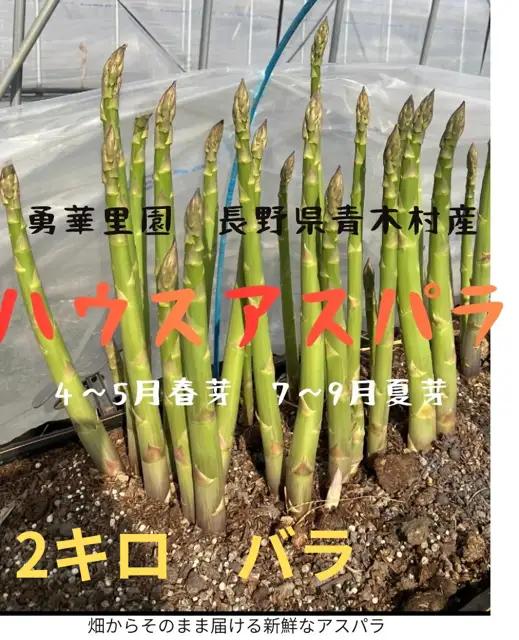 朝採りアスパラガス　L〜2Lサイズ　2kg