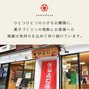 【やまだ屋】もみじファミリー15個入｜まんじゅう 饅頭 和菓子 贈答 広島