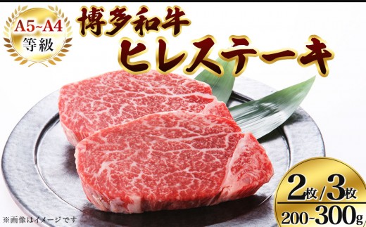 
                  ＜選べる容量＞【A5～A4等級！】博多和牛 ヒレ ステーキ 2枚/3枚【株式会社チクゼンヤ】
                
