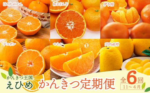 【先行予約】 えひめ かんきつ定期便 （全6回・11月～４月お届け）　かんきつ 柑橘 みかん 定期便 温州みかん 紅まどんな 伊予柑 デコポン せとか 河内晩柑 愛媛県