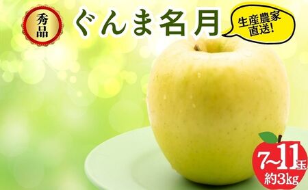 りんご ぐんま名月 秀品 3kg 7～11玉 りんご