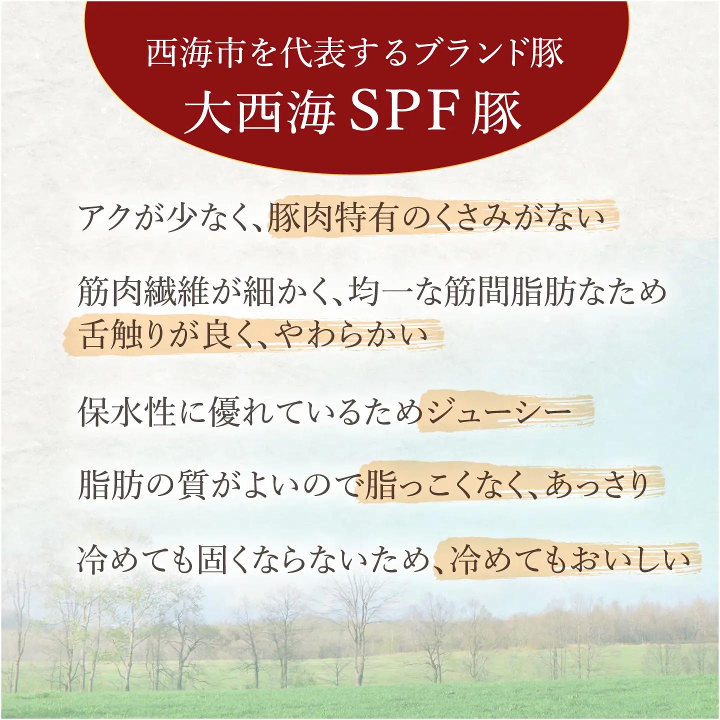 【6回定期便】大西海SPF豚 肩ロースブロック 計1.3kg 訳あり ＜大西海ファーム＞ [CEK077]