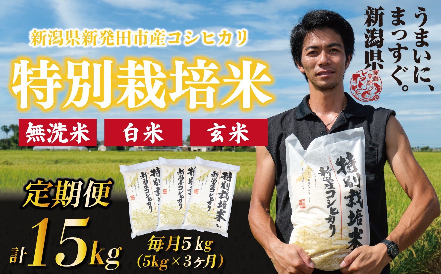 
            【定期便】コシヒカリ 無洗米 白米 玄米 5kg 3ヵ月 15kg 令和7年産 特別栽培米 こしひかり 米 お米 こめ 新潟米 新潟県産 新潟産 新潟 新潟県 新発田産 新発田 新発田市 斗伸 toushin041P
          