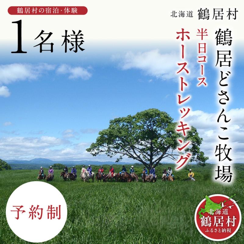 【北海道鶴居村】どさんこ牧場ホーストレッキング半日コース(1名様) 乗馬体験 大自然 釧路湿原 散歩