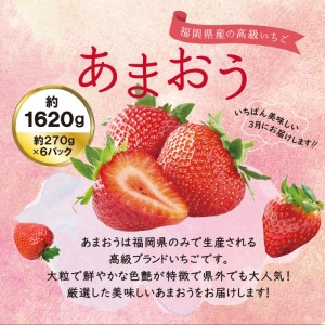 あまおう いちご 1,620g ( 約 270g × 6パック ) 【先行予約・2024年3月初旬より順次発送】 糸島市 / 株式会社HSP-テクノ [AZL002] グランデ 等級 福岡県 いちご 