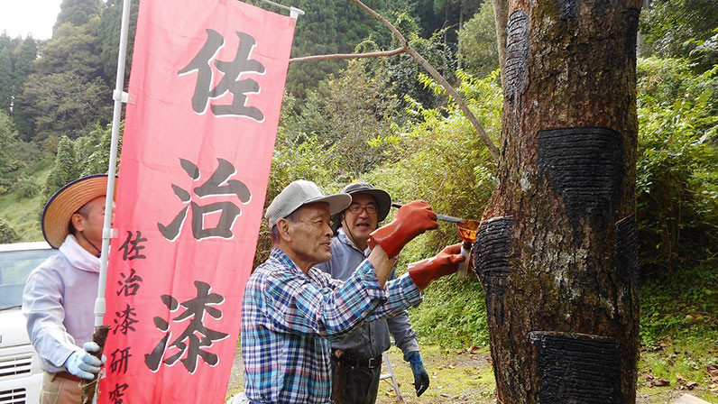 
き24-056 【佐治漆研究会】室町時代から続く佐治漆の森を育てよう！（思いやり型返礼品）
