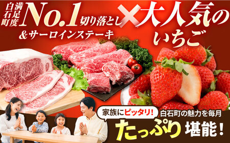 【R8年2月以降発送】【全9回定期便】赤いちご3種と佐賀産和牛のセット / いちご 牛肉 [IZZ022]