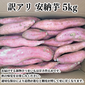【2025年11月より順次発送】【数量限定】訳アリ 茨城県産安納芋 約5kg｜さつまいも 芋 サツマイモ 安納芋 訳あり わけあり 先行予約 茨城県 取手市（AS004）