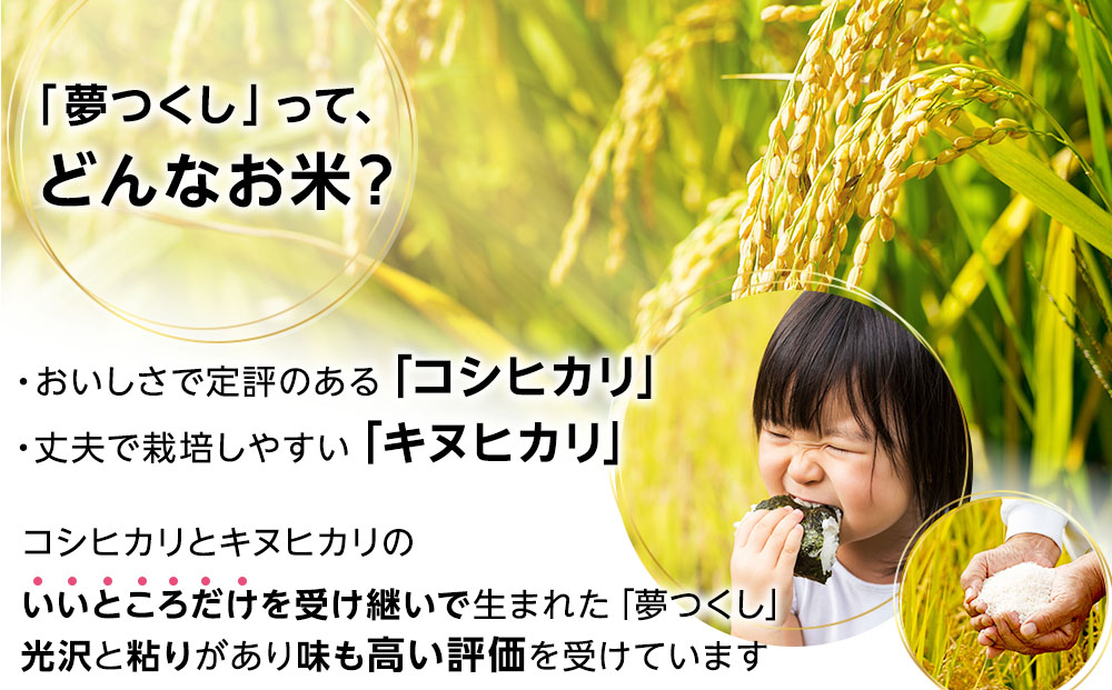 夢つくし パックご飯 計24パック (各200g) 24パック


