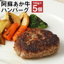 【ふるさと納税】阿蘇あか牛ハンバーグ 150g×5個 合計750g ハンバーグ あか牛 牛肉 熊本県 冷凍 送料無料