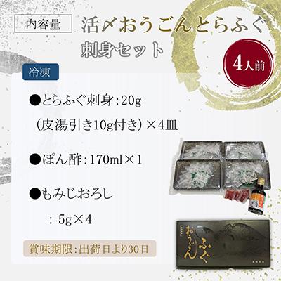 ふるさと納税 松浦市 【2ヵ月毎定期便】活〆おうごんとらふぐ刺身4人前セット 全3回 |  | 03