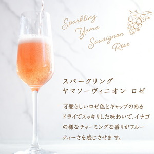 石狩市産ぶどうで作ったスパークリング 2本セット