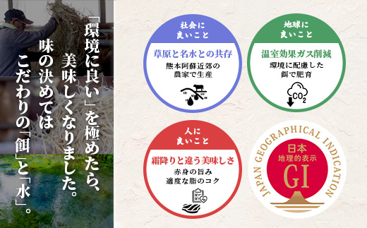 【エシカル和牛】くまもとあか牛【あか牛の極み】 肩ロース＆バラセット 400g ロース バラ 熊本 あか牛 牛肉 すき焼き しゃぶしゃぶ 赤身 和牛 国産 SDGs 033-0510