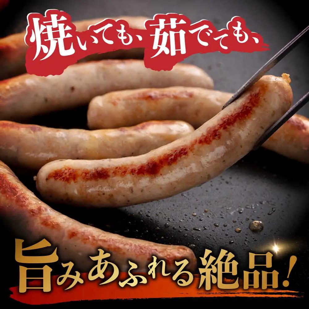 ウインナー 7種 48本 生ハム 45g 詰め合わせ セット  [AAC005] ウインナー