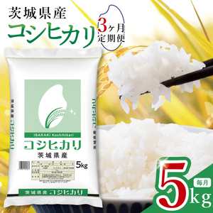【数量限定】【3ヶ月定期便】茨城県産コシヒカリ5kg×3回 【定期便 お米 ごはん こしひかり おにぎり ごはん 茨城県 水戸市】(JB-21)
