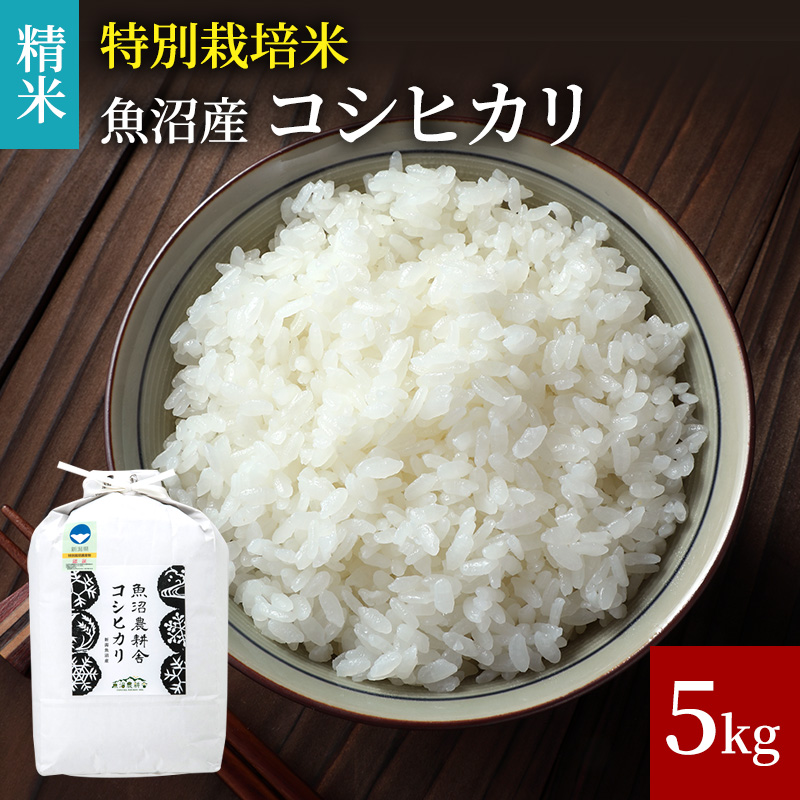 [令和5年産]米農家自慢の 特別栽培米 魚沼産 コシヒカリ（精米）5kg×1袋