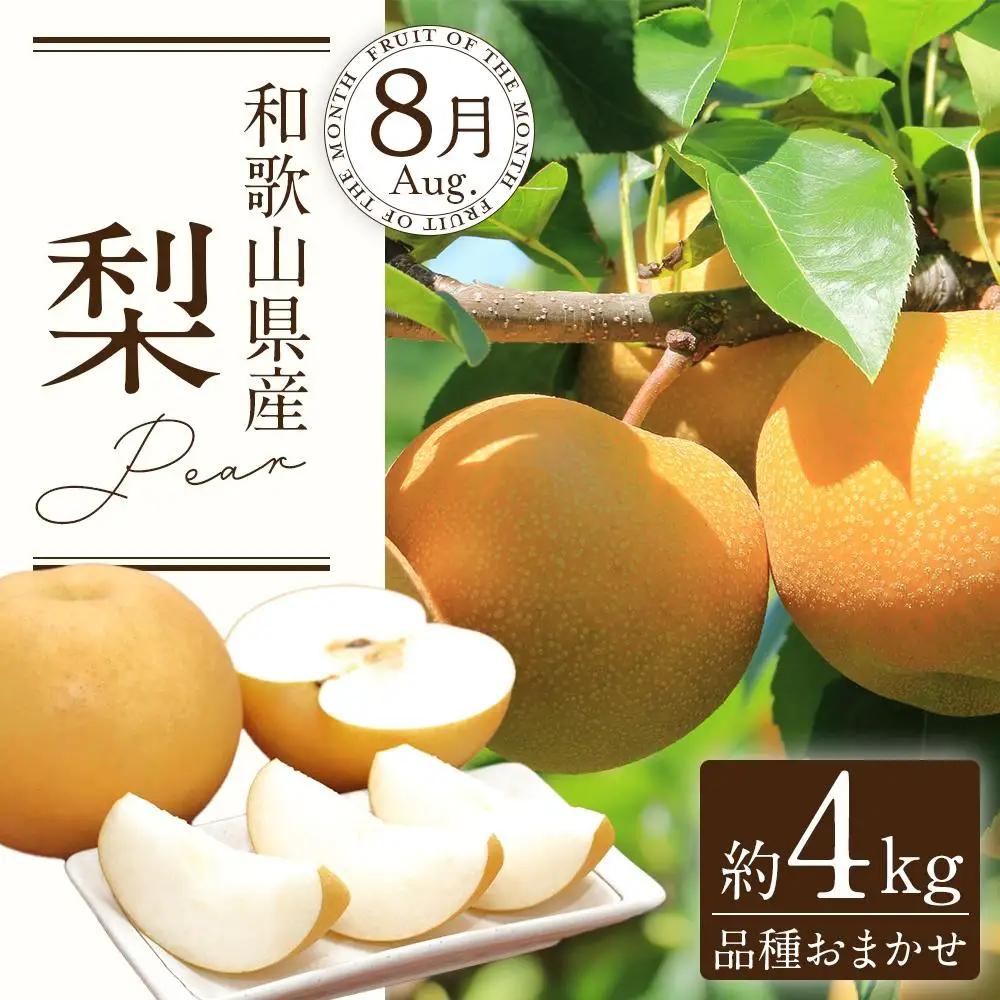 定期便全3回 【7月・8月・9月発送】 和歌山の夏のフルーツをお届け（桃・梨・たねなしピオーネ）【TM179】