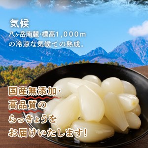 食べきりサイズ 色白美人らっきょう 国産無添加 80g×6袋　ラッキョウ 食べきりサイズ 480g おつまみ ご飯のおとも お酒のお供 野菜 旬 漬物 つけもの お漬物 常温保存 山梨県 北杜市 [h