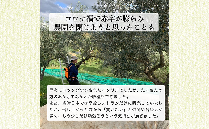 【生産予約】オリーブ通が選ぶ最高峰、金のNON-FILTER2本入りEVOO 計4本セット【2025年12月発送】エキストラ ヴァージン オリーブオイル イタリア トスカーナ産 袋井市 静岡県