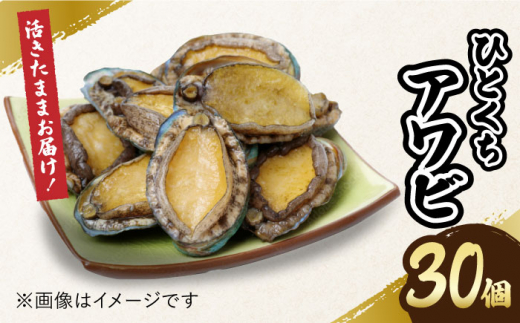 【小ぶりで料理に使いやすい！】 上五島産 養殖 ひとくち アワビ 活 厳選 30個 刺身 ステーキ 生 【豊建設株式会社】 [RAE002]