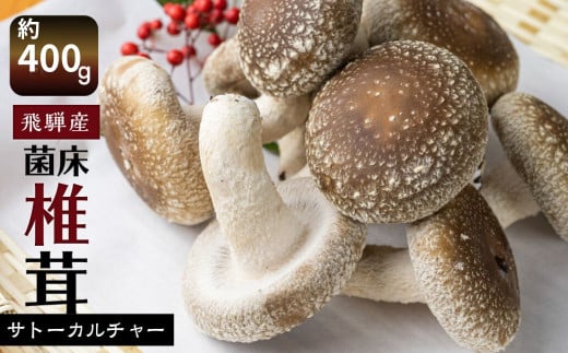 菌床しいたけ 約400g 約100g×4パック 枚数おまかせ 国産 椎茸 シイタケ 生しいたけ きのこ キノコ 鍋 すきやき すき焼き