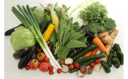 岩手県産やまと豚バラスライス（約450g）＆岩手町の旬野菜セット（5品以上） 豚肉 野菜 豚バラスライス 豚バラ 小分け 真空パック 真空包装 冷蔵 国産 岩手県産 旬 詰め合わせ 産地直送 岩手県 