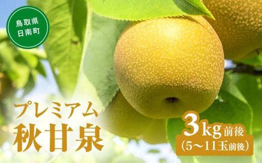 【令和9年産先行予約】プレミアム秋甘泉（あきかんせん） 3kg前後(5～11玉前後) 梨 なし 果物 日南町 高間商店