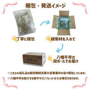 岩手県産 生わさび (Lサイズ) 1本70g以上のもの確約 2本セット 【安比清流山葵園】 ／ 山葵 ワサビ わさび 薬味 国産 八幡平市産 産地直送 新鮮 調味料 辛味 肉の薬味 魚の薬味 そばの薬
