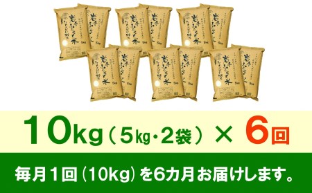 3人に1人がリピーター!☆全6回定期便☆ 岩手ふるさと米 10kg(5㎏×2)×6ヶ月 令和5年産 一等米ひとめぼれ 東北有数のお米の産地 岩手県奥州市産 [U0165]