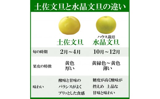 【先行予約】水晶文旦 ご家庭用お得箱 約６kg Mサイズ～４Ｌサイズ（12～１６個入り）〈2026年10月上旬～11月上旬頃発送〉訳あり ワケあり 訳 傷 キズ へこみ 文旦 ブンタン ぶんたん 水晶