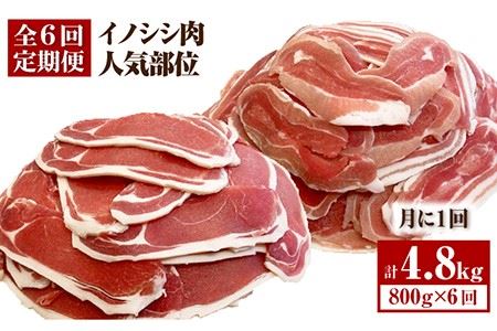 【6回定期便】脊振ジビエ イノシシ肉人気部位 総量4.8kg 鍋 しゃぶしゃぶ 焼肉[FAL060]
