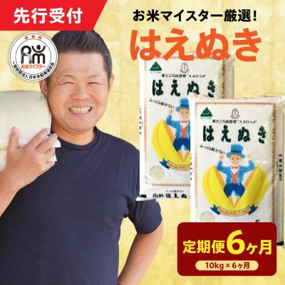 ふるさと納税 米沢市 【 6ヶ月定期便 / 令和7年産 】 はえぬき 計10kg/月 ( 1回配送 5kg×2袋 )