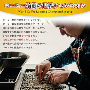 【焙煎世界チャンピオン】(豆)豆香洞ブレンド＆マスターおすすめコーヒーセット【1083233】