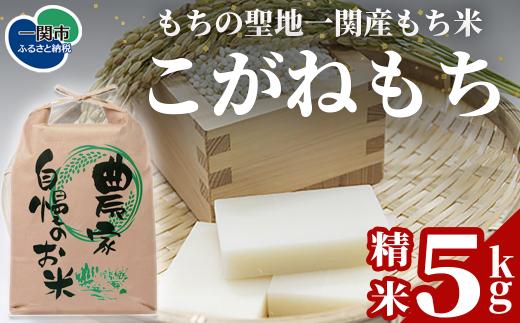 一関市産もち米 こがねもち 5kg｜国産もち米 もちの聖地いちのせき 50年以上もち米専業農家 厳選 高品質米 強い粘りと甘み お餅 赤飯 おこわに最適 産地直送 ふるさと納税 岩手県一関市