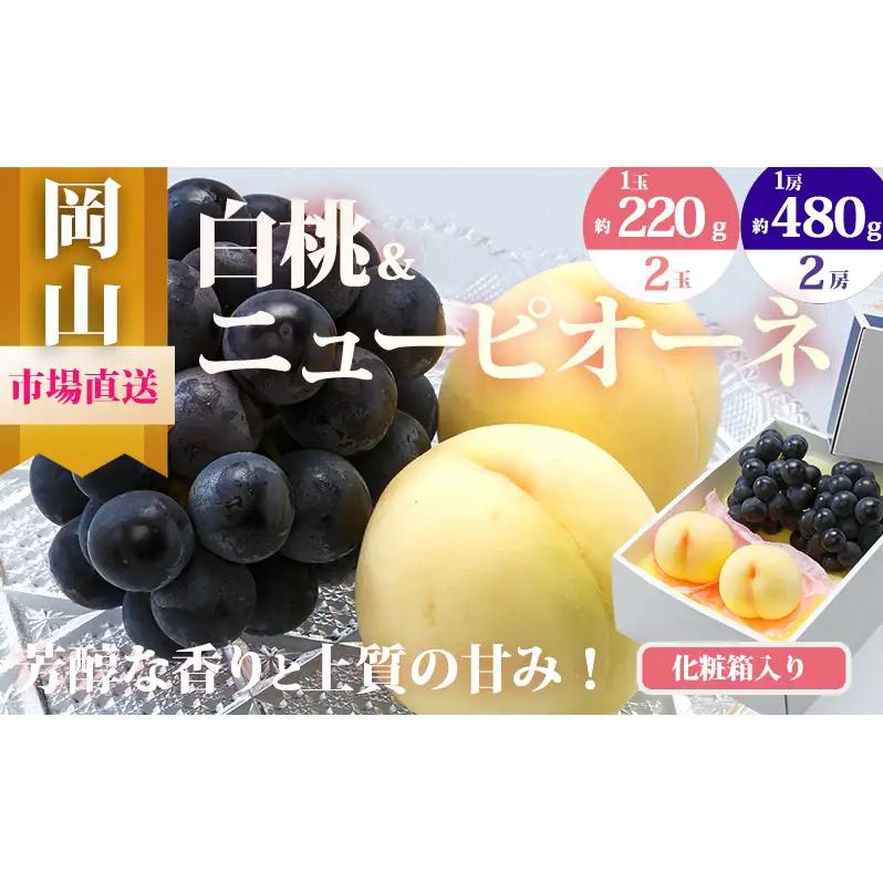 桃 ぶどう 2026年 先行予約 果物 詰合せ 白桃 2玉（1玉220g以上）ニューピオーネ 2房（1房480g以上）化粧箱入り もも 葡萄 岡山県産 国産 フルーツ 果物 ギフト 