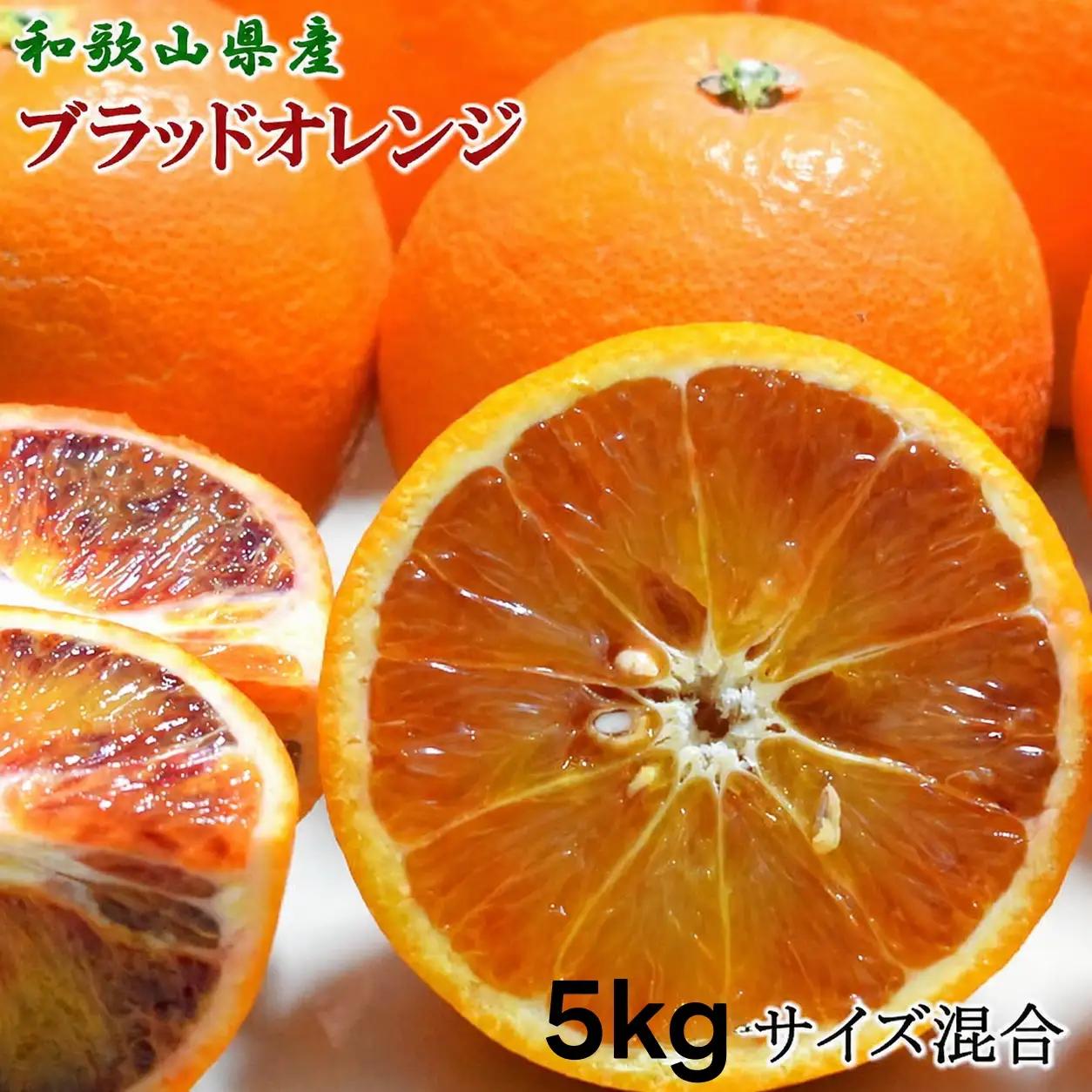 【希少・高級柑橘】国産濃厚 ブラッド オレンジ 「タロッコ種」5kg ※2027年4月上旬～5月上旬頃順次発送【tec968】