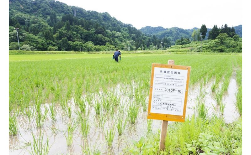 【玄米】江戸伝承絶品米４Kg（２kg×２）