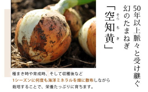 真珠の玉葱 空知黄 3kg ＜海のミネラルで育てた幻の玉葱 空知黄＞｜玉ねぎ たまねぎ タマネギ 北海道産 岩見沢市【a134-010】 3kg
