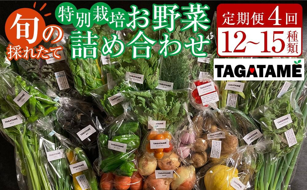 
【定期便全4回】旬の採れたて 12～15種類お野菜詰め合わせセット TAGATAME タガタメ【野菜 特別栽培 大容量 栽培期間中農薬不使用 旬 採れたて 香川県 さぬき市】
